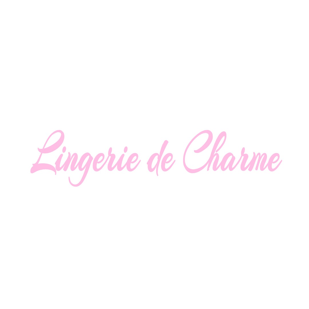 LINGERIE DE CHARME VILLE-SUR-ILLON